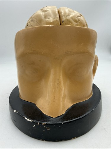 Antique vintage head and - /,