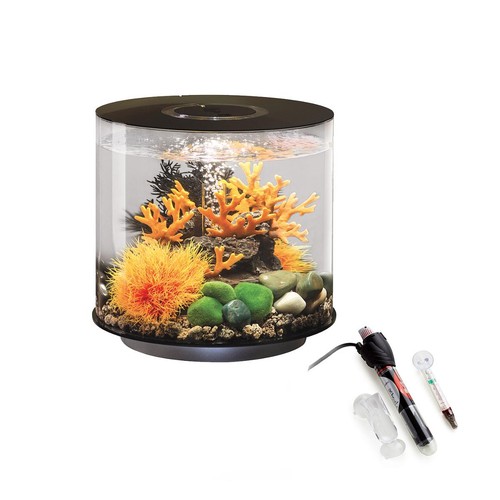 Oase biorb tube - biorb, fish