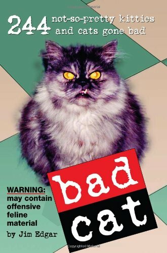 Bad cat jim - by, d