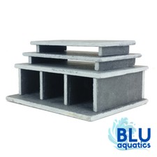 Zebra Pleco SLATE Spawning