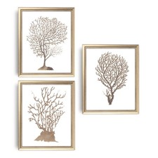 Sepia Sea Coral Print