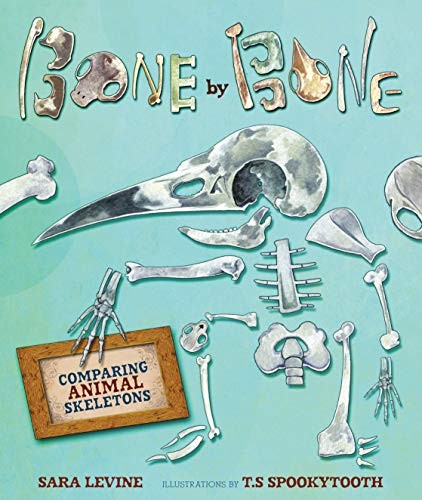Bone comparing - by,