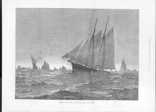 Old antique print - old,