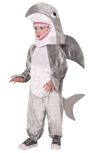 Shark attack animal - shark,