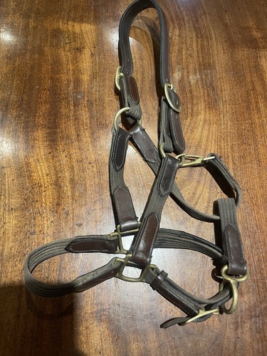 Headcollar webbing and leather - headcollar,