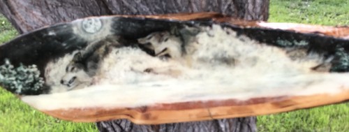 Wood burning pyrography - burning,,