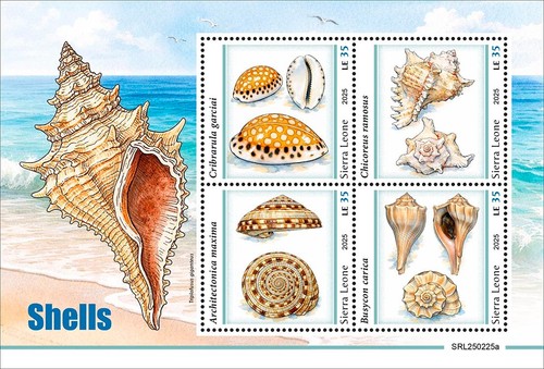 Shells mnh stamps 2025 sierra - 2025,