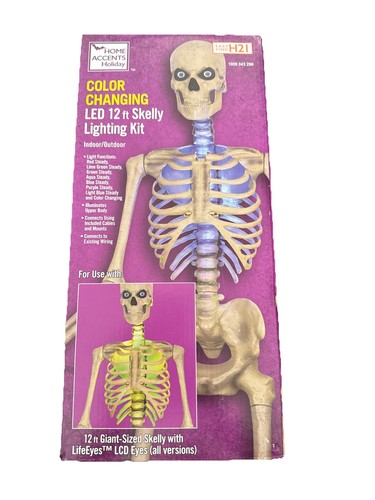 Skeleton skelly led home - ft,
