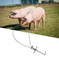 Pig Holder Catcher Farm