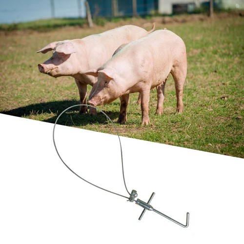 Pig holder catcher farm - holder,