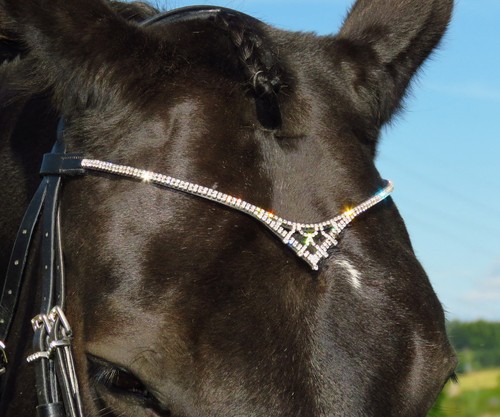 Fss bling crystal browband - crystal,
