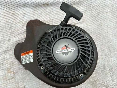 Briggs stratton 10hp ohv intek - briggs,