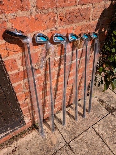 Ram golf ez3 ladies - golf,
