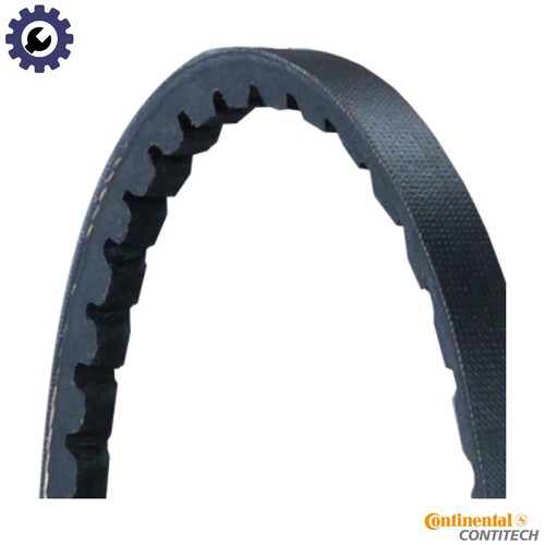 Vbelt avx10x1113 for - avx10x1113, mg