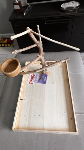 Parrot playstand bird - playstand,