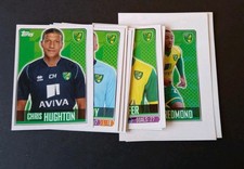 NORWICH CITY - RARE BRAZILIAN