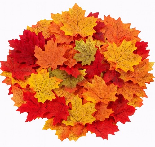100 mixed maple - 100, –