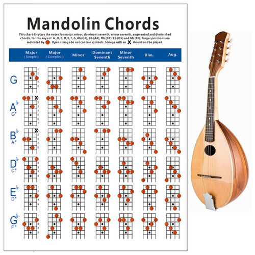 Mandolin exercise diagram - mandolin,
