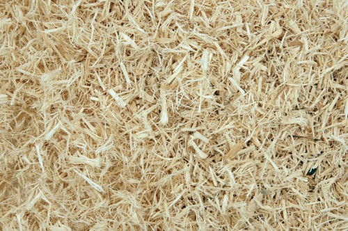 Aspen 1kg snake reptile animal - 1kg,