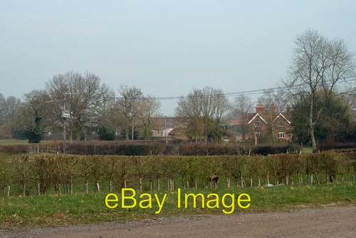 Photo 6x4 swires - photo,