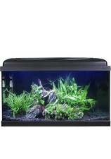 Swell Aquarium 60cm Tropical Freshwater LED Fish Tank Kit 54ltrs Coldwater Fish