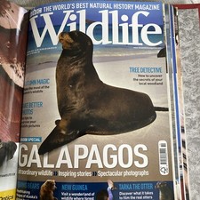 BBC WILDLIFE MAGAZINES IN