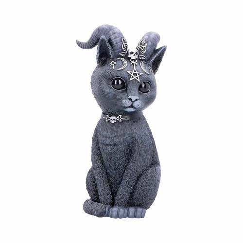 Pawzuph 11cm - 11cm,