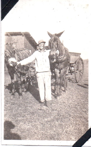 Old photograph horses - photograph, farm