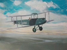 Original Painting 'Gypsy Moth"