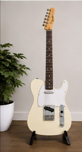 2025 fender standard - fender,