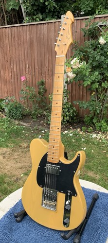 Peavey generation exp never - peavey,