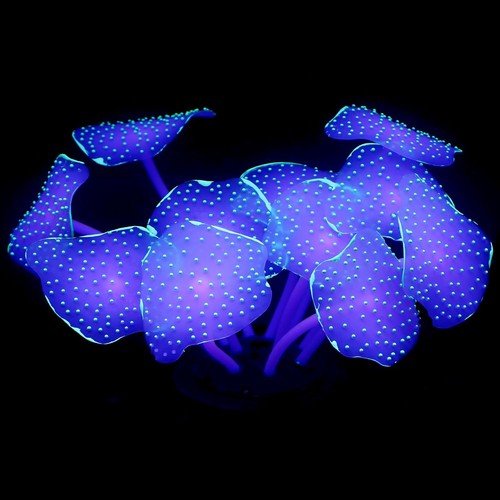 Uniclife coral plant - coral,