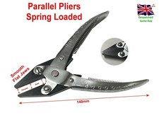 Flat Smooth Parallel Action