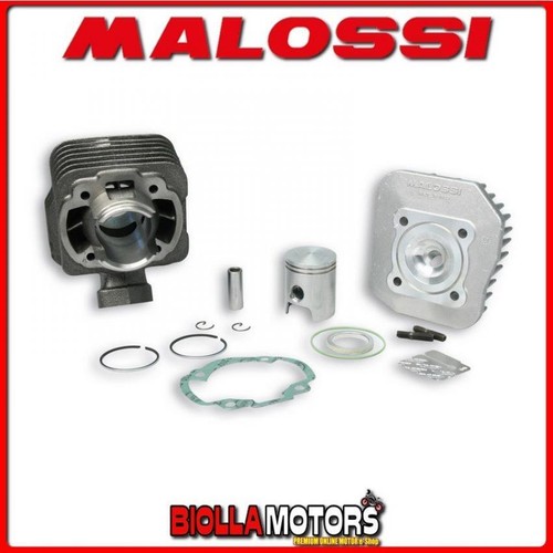 318573 cylinder kit malossi - 318573,
