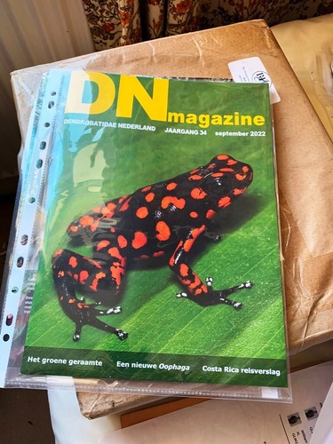 Magazine dendrobatidae - dn,
