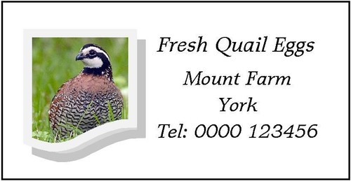 Small personalised quail egg - personalised,