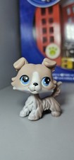Littlest Pet Shop #67 Collie