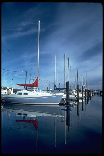 007039 sailboats row a4 - 007039,