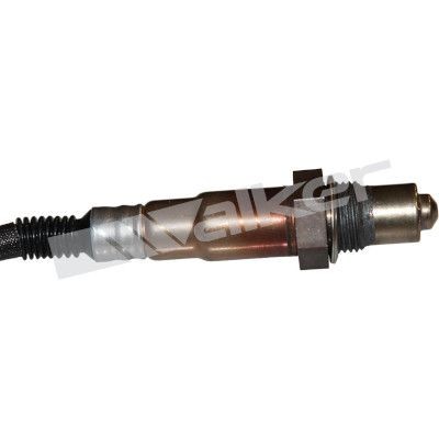 Walker oxygen sensor 800mm - walker,