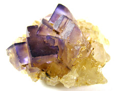 LOVELY SMALL CLUSTER of