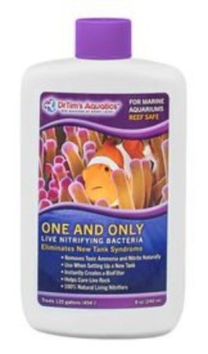 Tims reef one and - dr, only