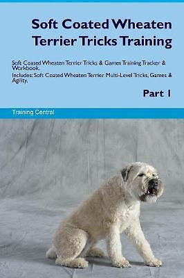 Soft coated wheaten terrier - wheaten,