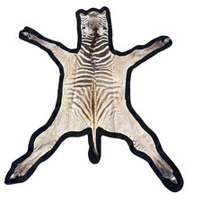 Real Zebra Skin Baby Size Real Zebra Hide # 44 SMALL Size: 40X 43" (tail is 9")