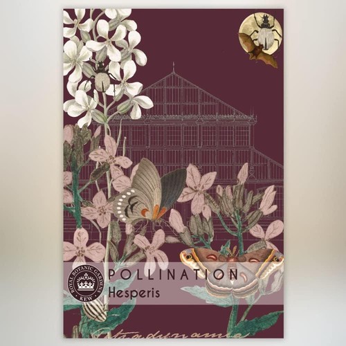 Thompson morgan kew - thompson,