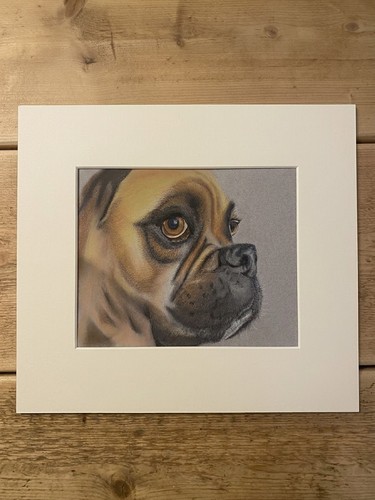 Pastel pencil boxer dog hand - dog,