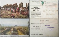 2x LONDON PAID 1/2D  Hops Cold Storage/Indian Tea advertising PPCs 1906/11