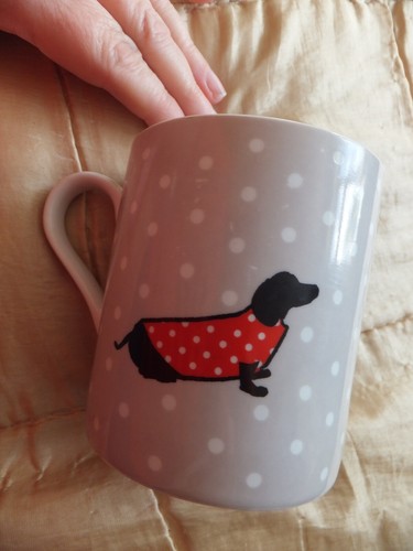 Dachshund china mug - house, &