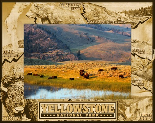 Yellowstone national park - national,