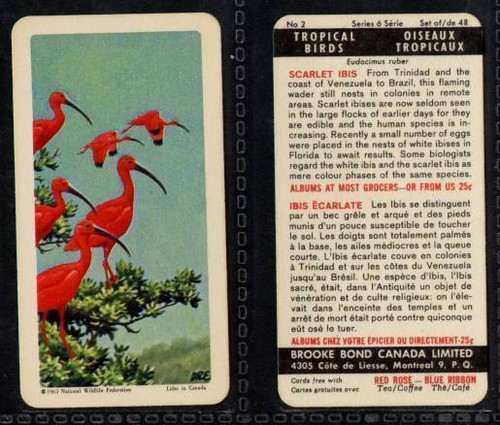 Brooke bond canada tropical - bond, canada,