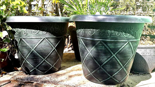 Pair large quality 36cm - x,